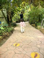 <h4>'IMG_20241207_103215.jpg' 1500 x 2000 | HUAWEI P60 | 2024-12-07 10:32:15</h4>