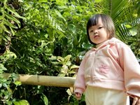 <h4>'IMG_20241207_104319.jpg' 2000 x 1500 | HUAWEI P60 | 2024-12-07 10:43:19</h4>