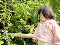 <h4>'IMG_20241207_104321.jpg' 2000 x 1500 | HUAWEI P60 | 2024-12-07 10:43:21</h4>