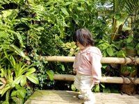 <h4>'IMG_20241207_104326.jpg' 2000 x 1500 | HUAWEI P60 | 2024-12-07 10:43:26</h4>