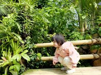 <h4>'IMG_20241207_104329.jpg' 2000 x 1500 | HUAWEI P60 | 2024-12-07 10:43:29</h4>