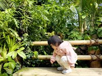 <h4>'IMG_20241207_104333.jpg' 2000 x 1500 | HUAWEI P60 | 2024-12-07 10:43:33</h4>