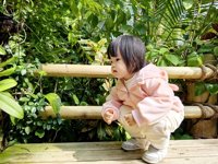 <h4>'IMG_20241207_104344.jpg' 2000 x 1500 | HUAWEI P60 | 2024-12-07 10:43:44</h4>