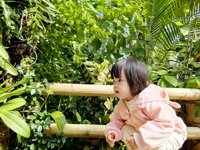 <h4>'IMG_20241207_104347.jpg' 2000 x 1500 | HUAWEI P60 | 2024-12-07 10:43:47</h4>