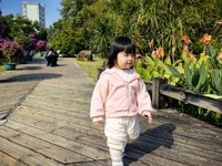 <h4>'IMG_20241207_110924.jpg' 2000 x 1500 | HUAWEI P60 | 2024-12-07 11:09:24</h4>