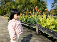 <h4>'IMG_20241207_110927.jpg' 2000 x 1500 | HUAWEI P60 | 2024-12-07 11:09:27</h4>