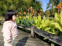 <h4>'IMG_20241207_110929.jpg' 2000 x 1500 | HUAWEI P60 | 2024-12-07 11:09:29</h4>