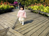 <h4>'IMG_20241207_110942.jpg' 2000 x 1500 | HUAWEI P60 | 2024-12-07 11:09:42</h4>