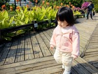 <h4>'IMG_20241207_110944.jpg' 2000 x 1500 | HUAWEI P60 | 2024-12-07 11:09:44</h4>