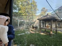 <h4>'IMG_20241221_100026.jpg' 2000 x 1500 | HUAWEI P60 | 2024-12-21 10:00:26</h4>