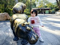 <h4>'IMG_20241221_104320.jpg' 2000 x 1500 | HUAWEI P60 | 2024-12-21 10:43:20</h4>