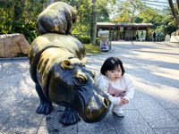 <h4>'IMG_20241221_104323.jpg' 2000 x 1500 | HUAWEI P60 | 2024-12-21 10:43:23</h4>