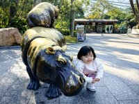 <h4>'IMG_20241221_104324.jpg' 2000 x 1500 | HUAWEI P60 | 2024-12-21 10:43:24</h4>