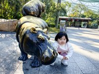 <h4>'IMG_20241221_104330.jpg' 2000 x 1500 | HUAWEI P60 | 2024-12-21 10:43:30</h4>