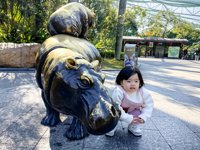 <h4>'IMG_20241221_104334.jpg' 2000 x 1500 | HUAWEI P60 | 2024-12-21 10:43:34</h4>