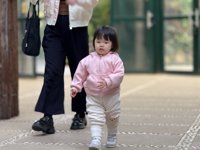 <h4>'IMG_E0875.JPG' 2000 x 1500 | iPhone 16 Pro | 2024-12-07 10:14:07</h4>