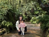 <h4>'IMG_E0899.JPG' 2000 x 1500 | iPhone 16 Pro | 2024-12-07 10:26:23</h4>