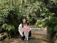 <h4>'IMG_E0900.JPG' 2000 x 1500 | iPhone 16 Pro | 2024-12-07 10:26:25</h4>