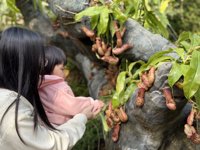 <h4>'IMG_E0902.JPG' 2000 x 1500 | iPhone 16 Pro | 2024-12-07 10:26:48</h4>