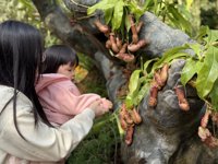 <h4>'IMG_E0903.JPG' 2000 x 1500 | iPhone 16 Pro | 2024-12-07 10:26:50</h4>