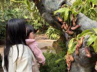 <h4>'IMG_E0904.JPG' 2000 x 1500 | iPhone 16 Pro | 2024-12-07 10:26:53</h4>