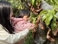 <h4>'IMG_E0905.JPG' 2000 x 1500 | iPhone 16 Pro | 2024-12-07 10:27:00</h4>