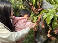 <h4>'IMG_E0906.JPG' 2000 x 1500 | iPhone 16 Pro | 2024-12-07 10:27:01</h4>