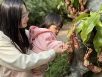 <h4>'IMG_E0907.JPG' 2000 x 1500 | iPhone 16 Pro | 2024-12-07 10:27:04</h4>