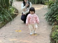 <h4>'IMG_E0916.JPG' 2000 x 1500 | iPhone 16 Pro | 2024-12-07 10:32:14</h4>