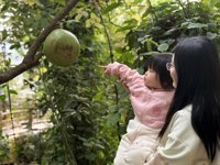 <h4>'IMG_E0939.JPG' 2000 x 1500 | iPhone 16 Pro | 2024-12-07 10:40:24</h4>