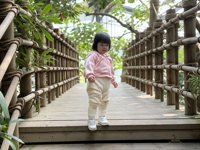 <h4>'IMG_E0942.JPG' 2000 x 1500 | iPhone 16 Pro | 2024-12-07 10:41:44</h4>