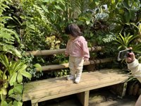 <h4>'IMG_E0949.JPG' 1999 x 1500 | iPhone 16 Pro | 2024-12-07 10:43:17</h4>