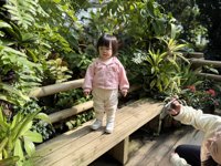 <h4>'IMG_E0950.JPG' 1999 x 1500 | iPhone 16 Pro | 2024-12-07 10:43:20</h4>