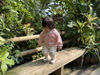 <h4>'IMG_E0951.JPG' 1999 x 1500 | iPhone 16 Pro | 2024-12-07 10:43:27</h4>