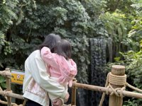 <h4>'IMG_E0962.JPG' 2000 x 1500 | iPhone 16 Pro | 2024-12-07 10:48:53</h4>