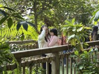 <h4>'IMG_E0977.JPG' 2000 x 1500 | iPhone 16 Pro | 2024-12-07 10:54:00</h4>