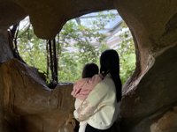 <h4>'IMG_E0988.JPG' 1999 x 1500 | iPhone 16 Pro | 2024-12-07 10:56:51</h4>