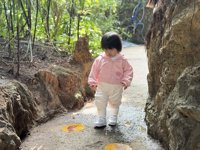 <h4>'IMG_E0990.JPG' 2000 x 1500 | iPhone 16 Pro | 2024-12-07 10:58:55</h4>