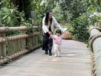 <h4>'IMG_E1011.JPG' 2000 x 1500 | iPhone 16 Pro | 2024-12-07 11:06:23</h4>