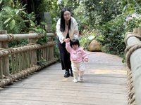 <h4>'IMG_E1012.JPG' 2000 x 1500 | iPhone 16 Pro | 2024-12-07 11:06:23</h4>