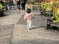 <h4>'IMG_E1017.JPG' 2000 x 1500 | iPhone 16 Pro | 2024-12-07 11:08:53</h4>