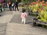 <h4>'IMG_E1018.JPG' 2000 x 1500 | iPhone 16 Pro | 2024-12-07 11:08:54</h4>