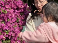 <h4>'IMG_E1034.JPG' 2000 x 1500 | iPhone 16 Pro | 2024-12-07 11:14:02</h4>