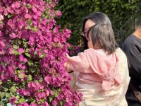 <h4>'IMG_E1037.JPG' 2000 x 1500 | iPhone 16 Pro | 2024-12-07 11:14:16</h4>