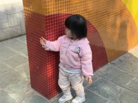 <h4>'IMG_1559.JPG' 2000 x 1500 | iPhone 16 Pro | 2025-01-19 11:05:36</h4>