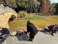 <h4>'IMG_1575.JPG' 2000 x 1500 | iPhone 16 Pro | 2025-01-19 11:13:35</h4>