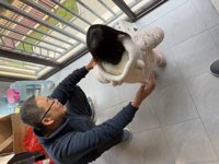 <h4>'IMG_1646.JPG' 1999 x 1500 | iPhone 16 Pro | 2025-01-27 16:55:37</h4>