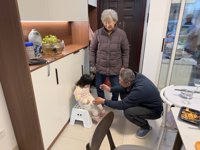 <h4>'IMG_1724.JPG' 1999 x 1500 | iPhone 16 Pro | 2025-01-28 18:54:30</h4>