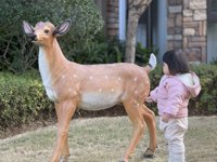 <h4>'IMG_E1705.JPG' 2000 x 1500 | iPhone 16 Pro | 2025-01-28 17:17:48</h4>