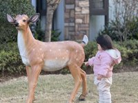 <h4>'IMG_E1706.JPG' 2000 x 1500 | iPhone 16 Pro | 2025-01-28 17:17:54</h4>